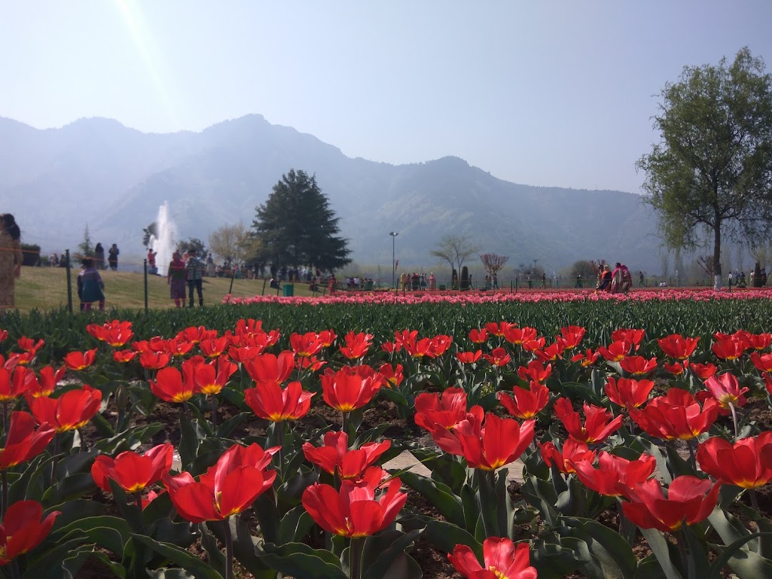 Malika Rushda 🍁🇵🇸 tweet media