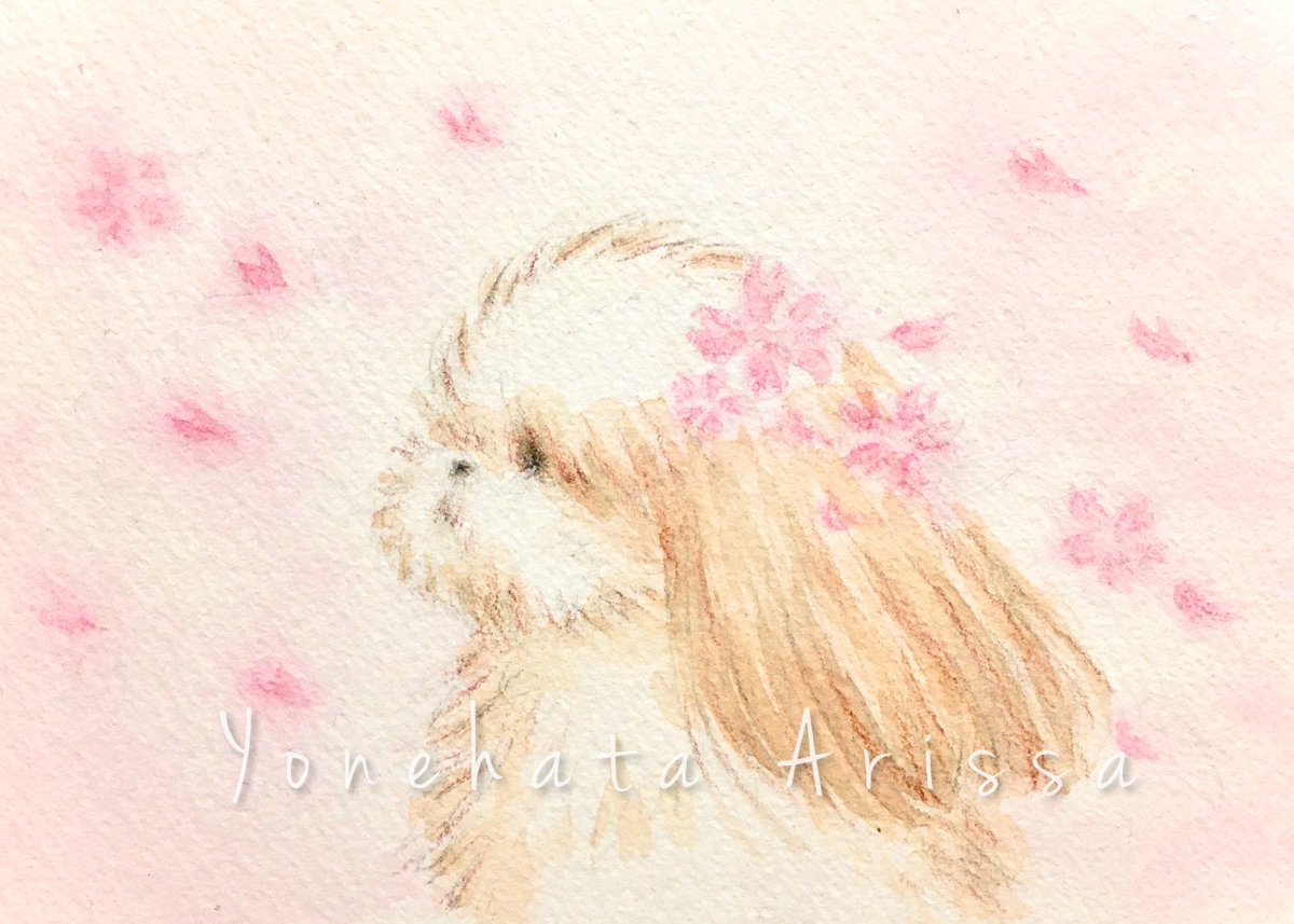 米畑有紗 tweet media