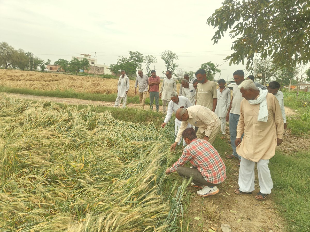 Prof. Sampat Singh tweet media