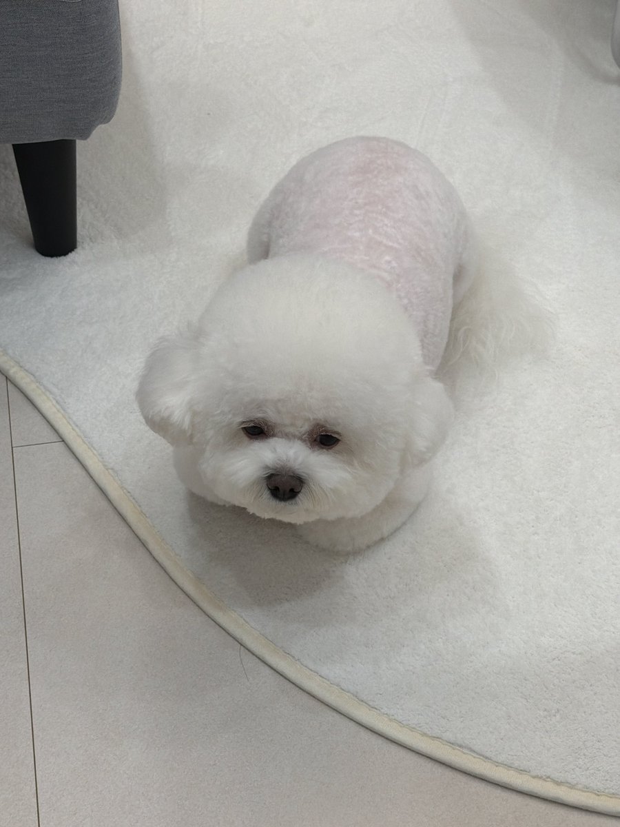 민성 tweet media