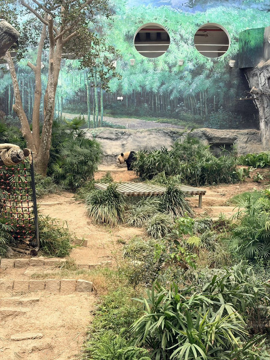 「マカオ新聞」編集長｜かっつん tweet media