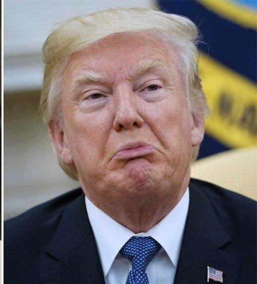 Donald J. Trumpstein fake tweet media