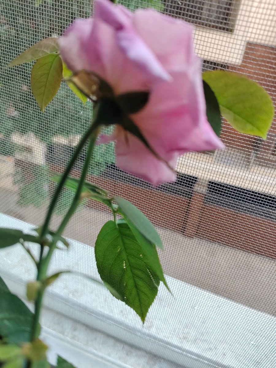 چشمِ نم tweet media