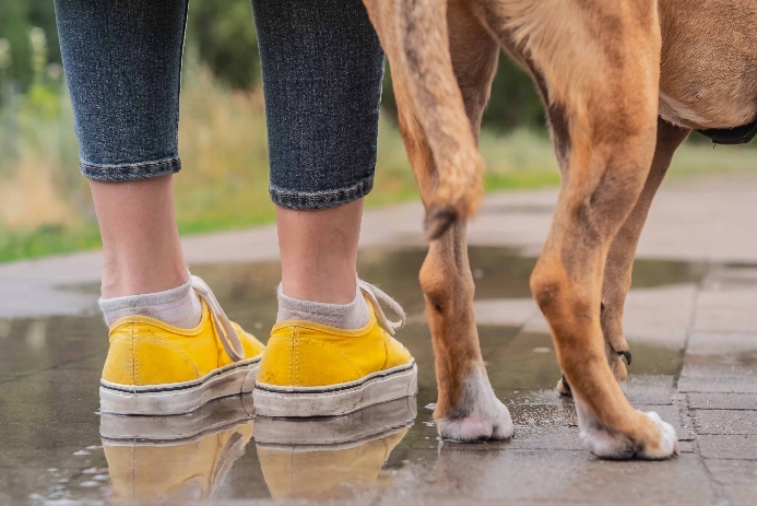 Sara B. Hansen tweet media