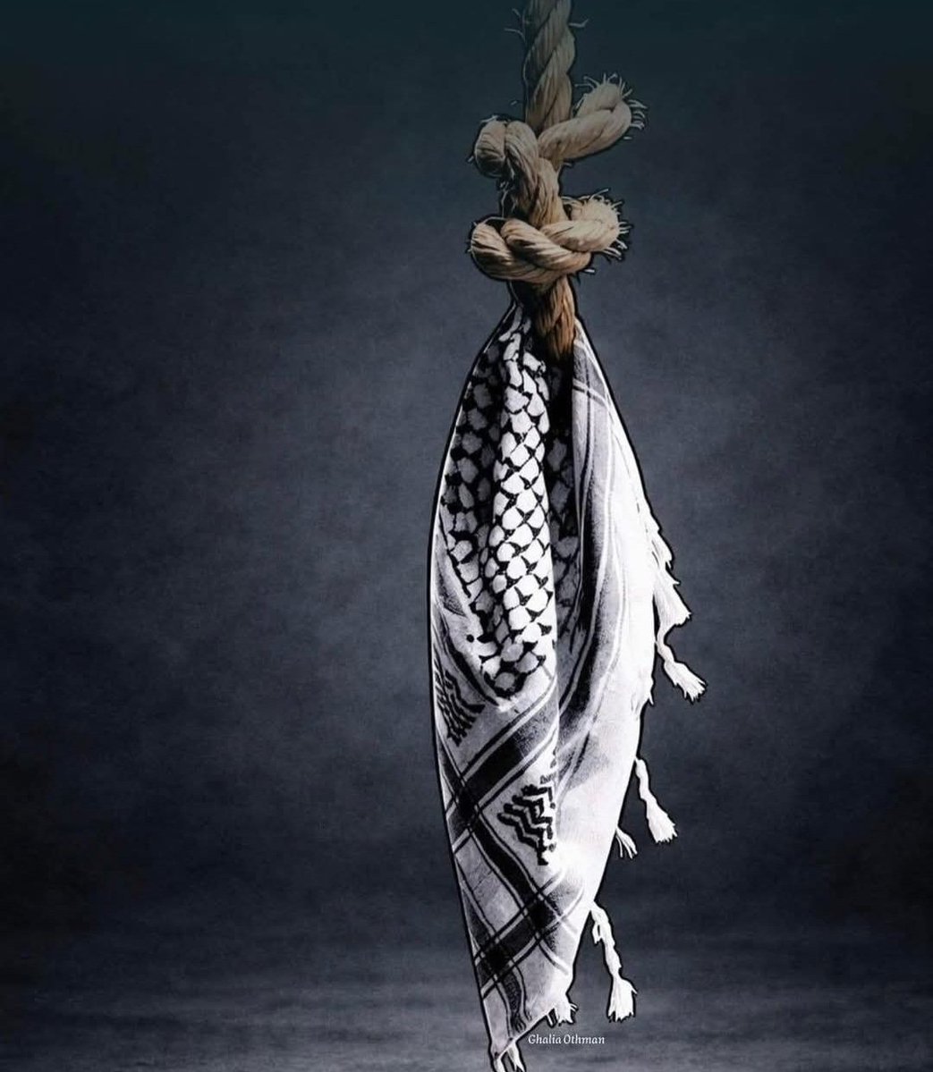 FATMA🇹🇷 tweet media