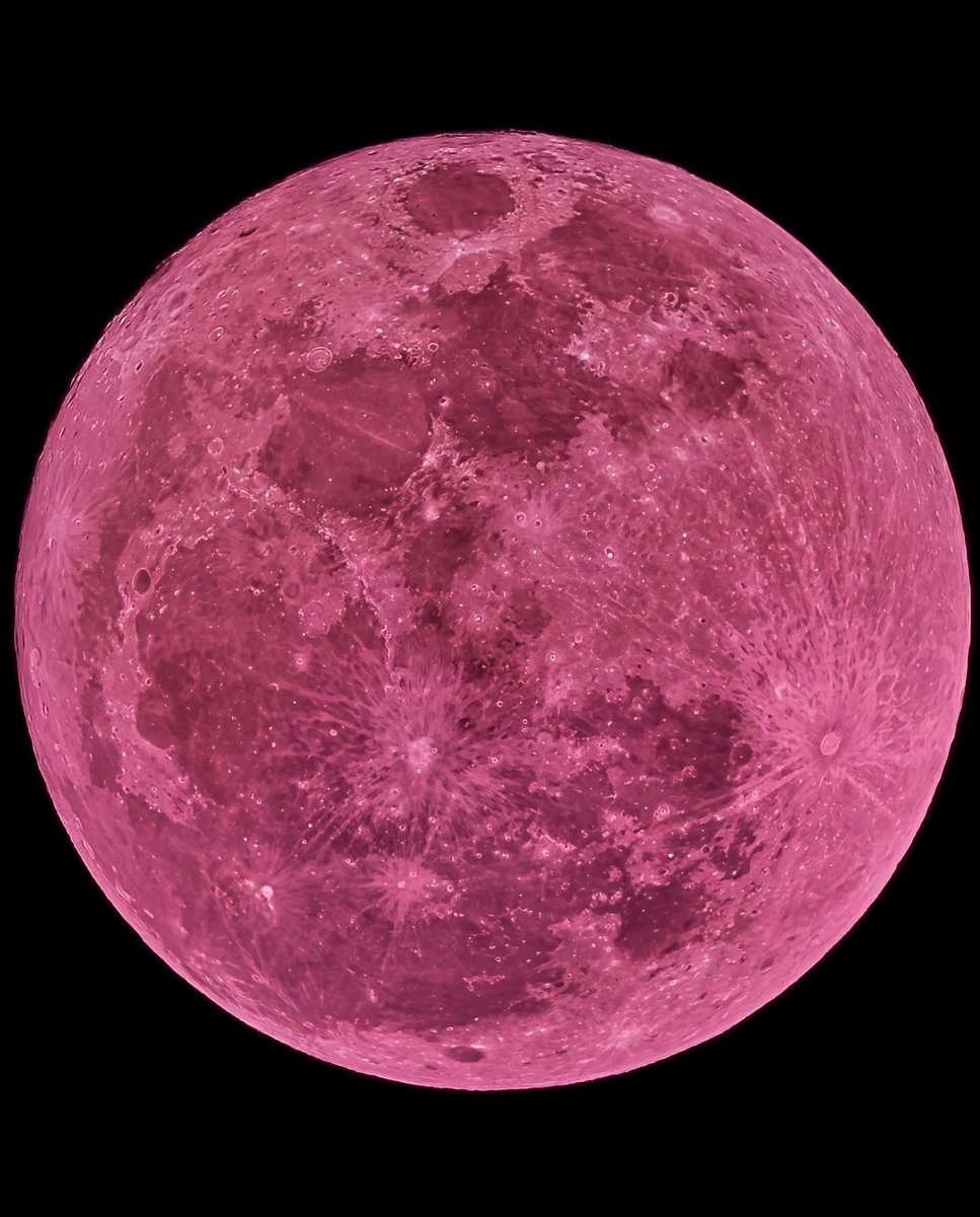 Neural Space tweet media