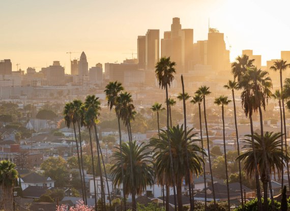 About Music tweet media