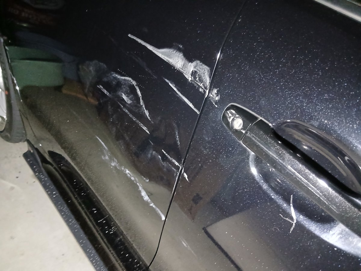 おさる tweet media