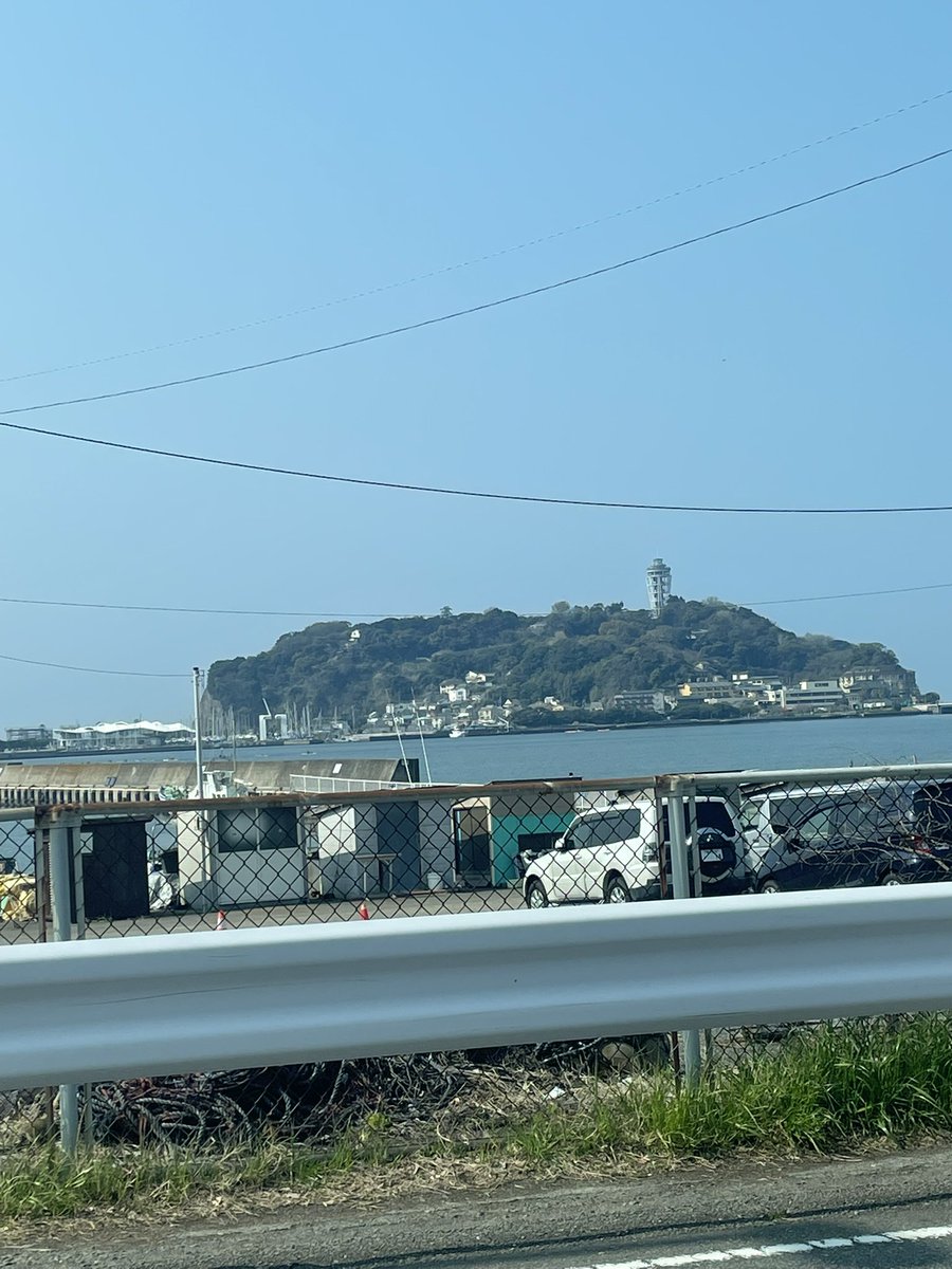 apeland_jp tweet media