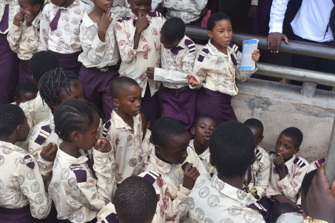 Natl Association of Seadogs tweet media