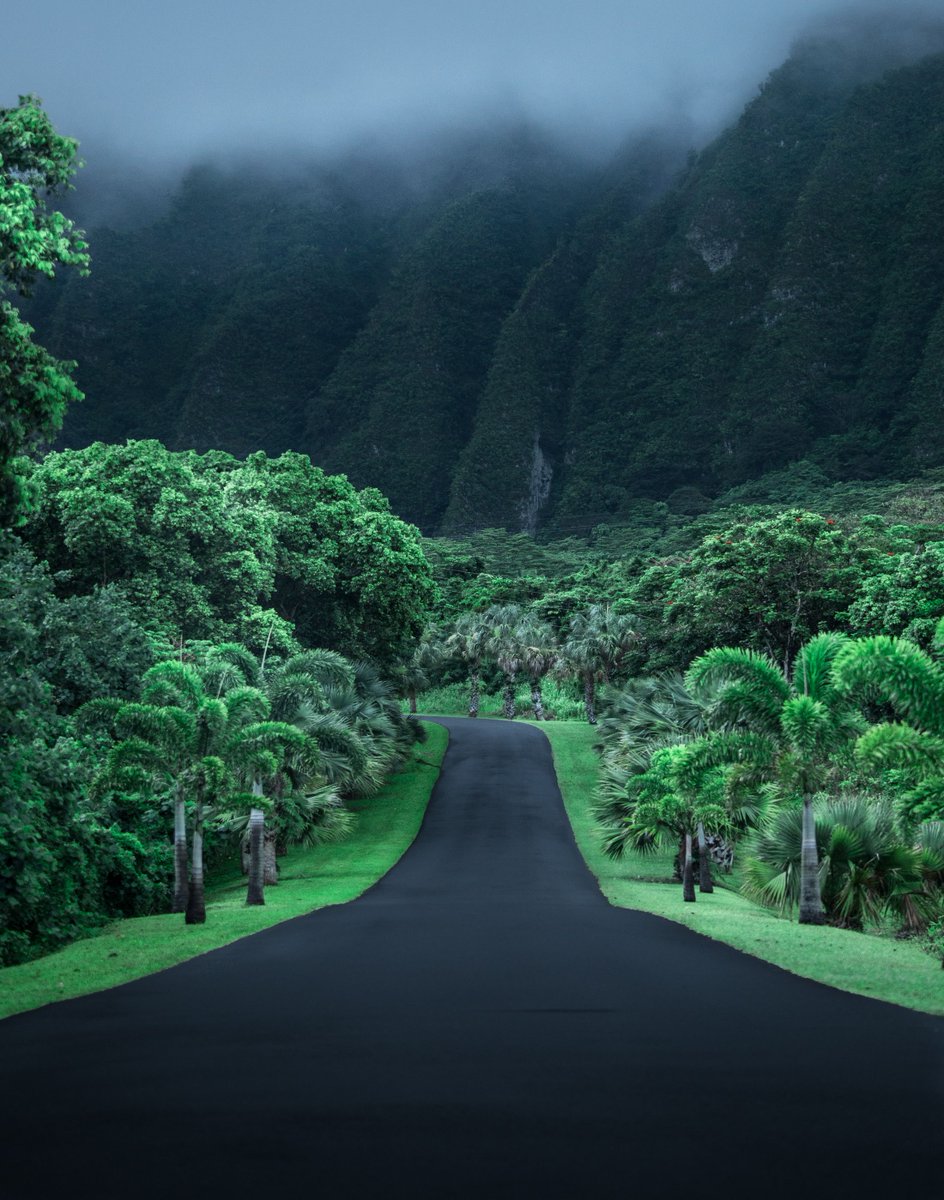 earthcurated's tweet photo. Hawaii 🍃 https://t.co/JrYavAJba1