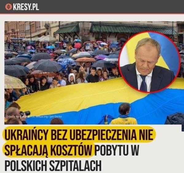 Krzysztof Mulawa tweet media