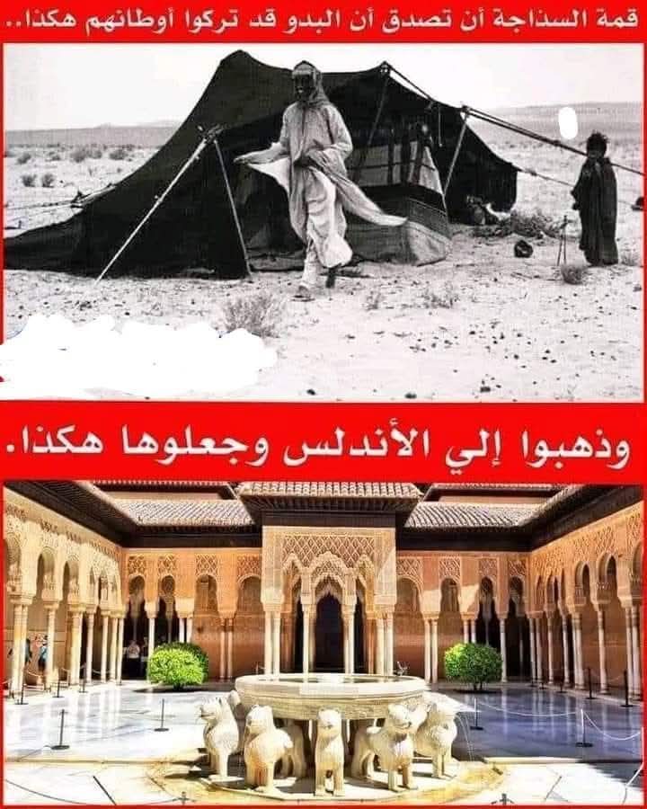 Lhoussaine Ben Ali ⵃⵓⵙⵉⵏ ⴱⵏ ⵄⵍⵉ tweet media