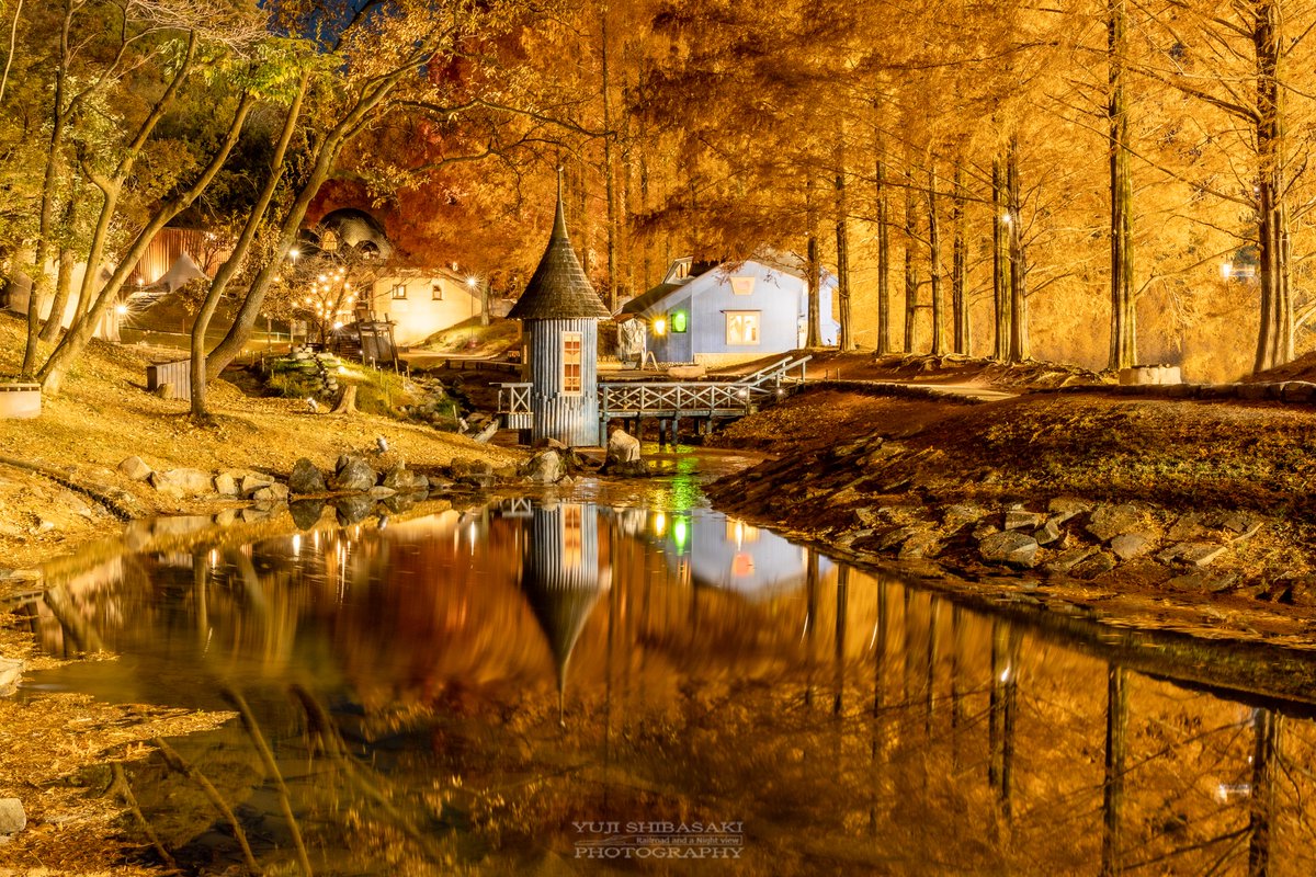 Yuji Shibasaki＠Photo tweet media