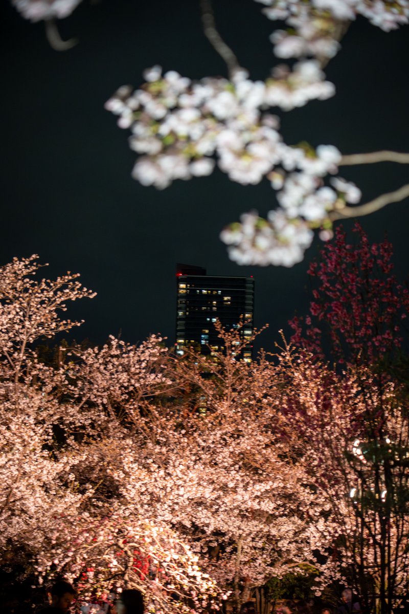 いるかるか tweet media