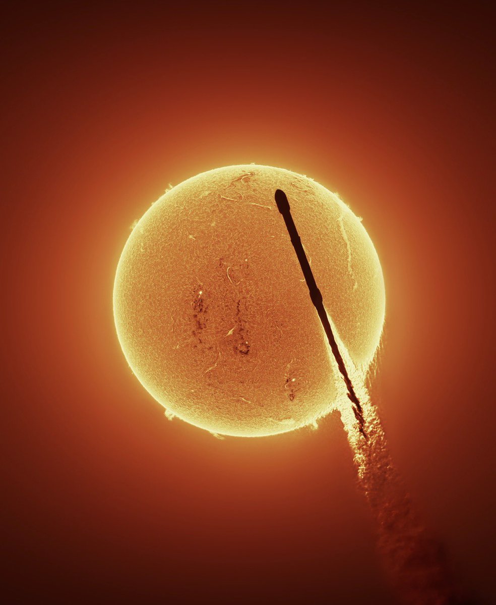 Jesse Peltan tweet media