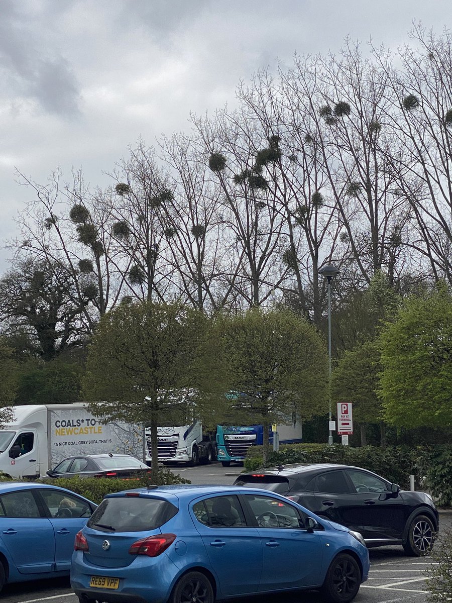 Andy Goodey tweet media