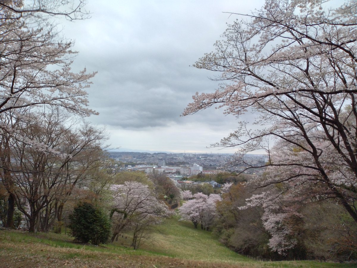 薔薇紳士🌹アッシュ🍄ノゾミスト🦎赤い鰐 tweet media