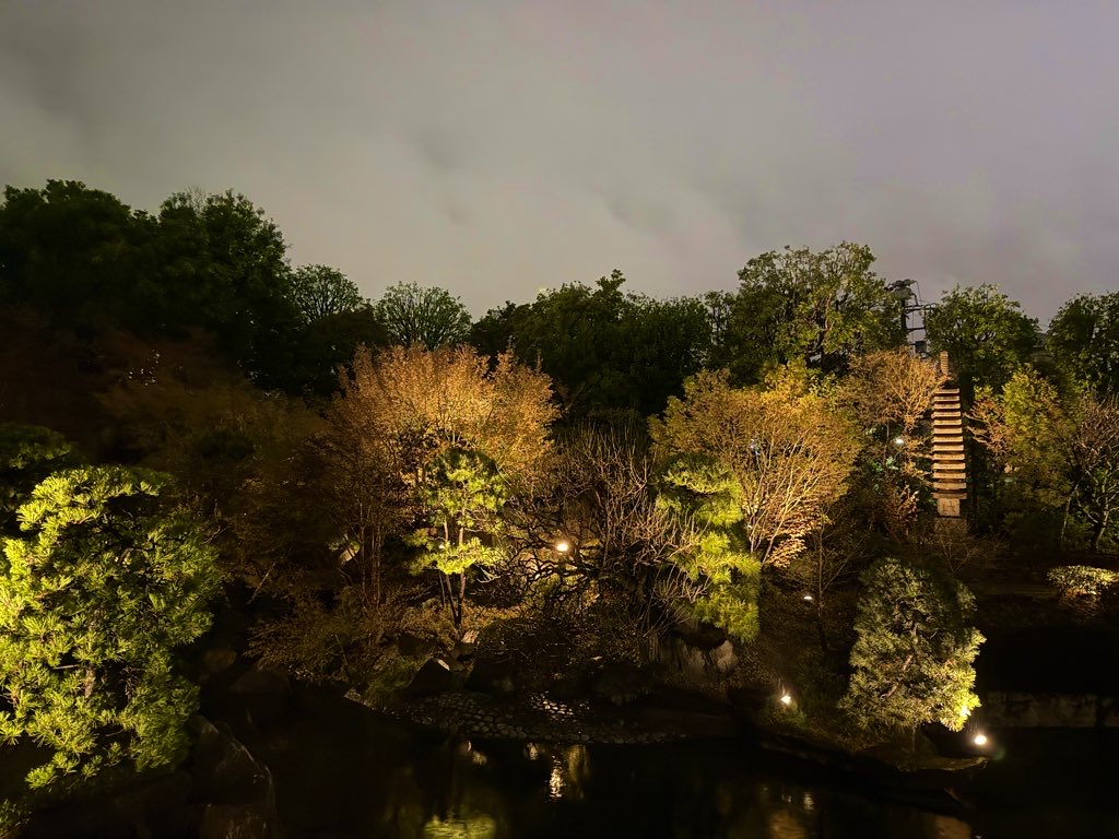 Naomi Shimpo tweet media