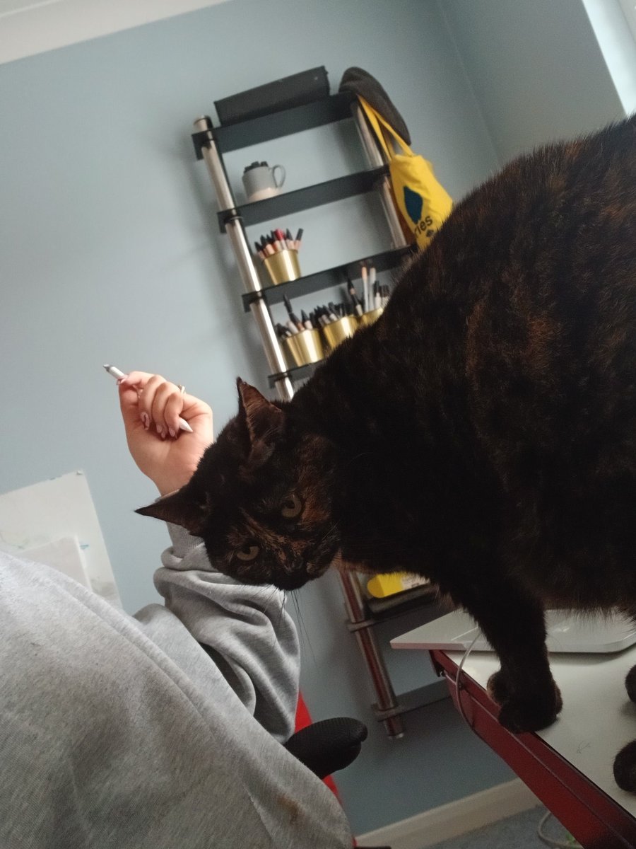 Ada Jušić illustration tweet media