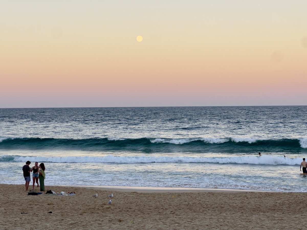 Rana 🐸 tweet media