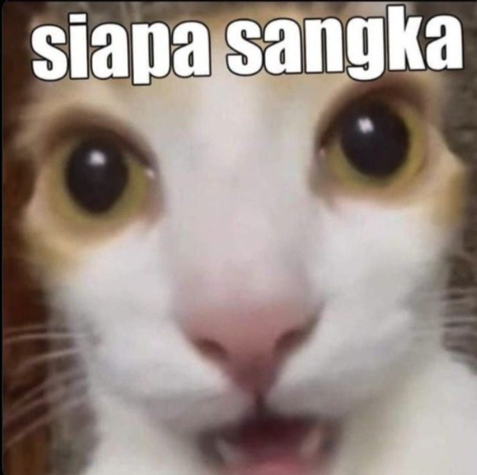 𝐉𝐮𝐧𝐣𝐢𝐞 俊捷。 tweet media