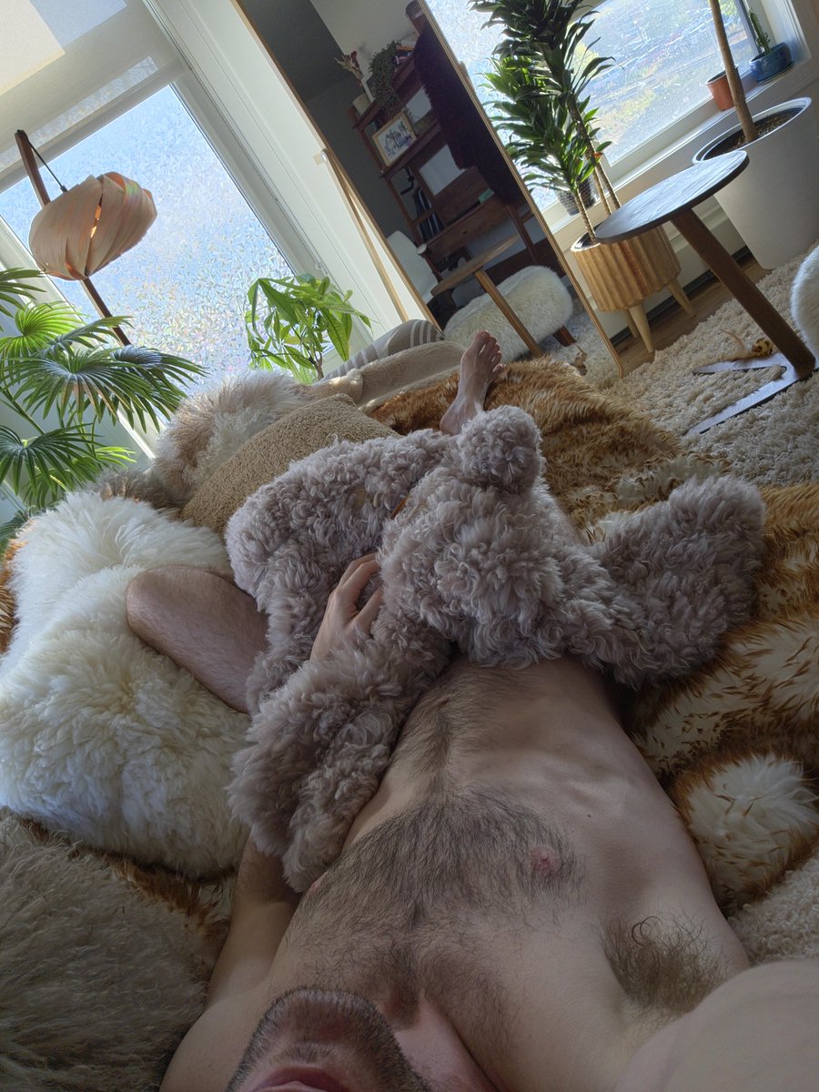 FurFetFun tweet media