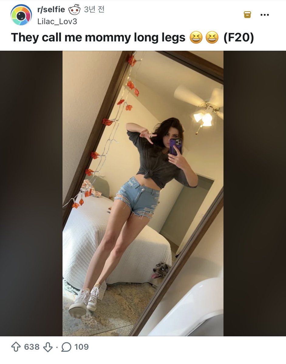 풍풍이 tweet media