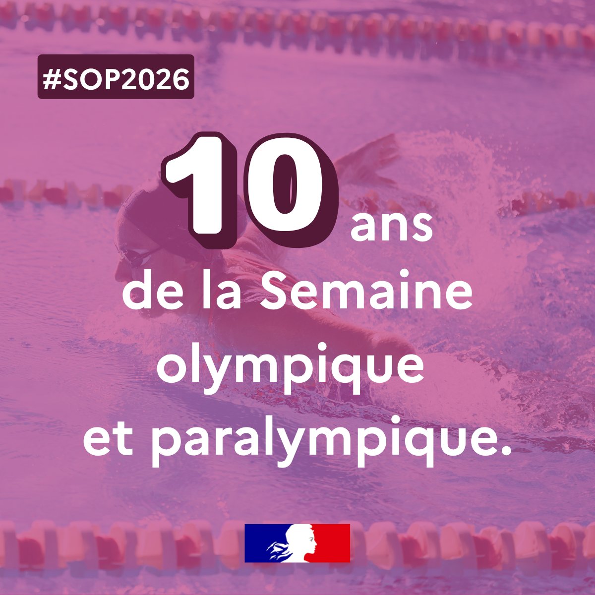 Ministère des Solidarités tweet media