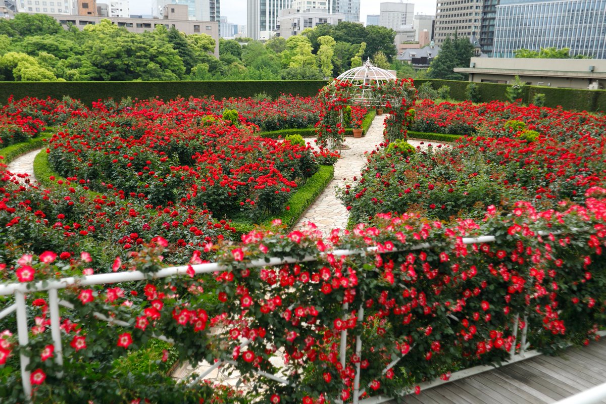 British Culture in Japan tweet media