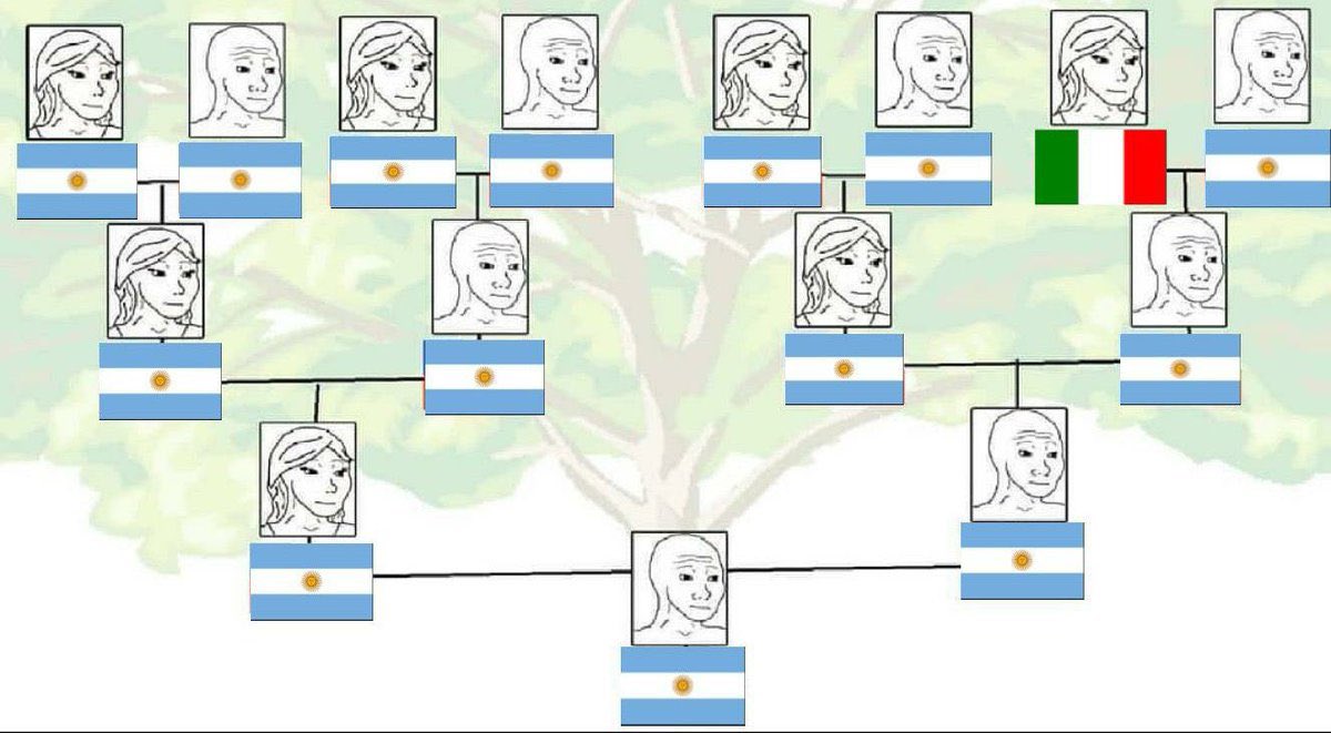 tom sla 📻 tweet media