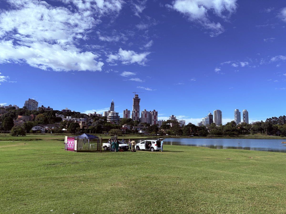 カピゴン松島【南米カピバラ探検家】ビバ南米 tweet media