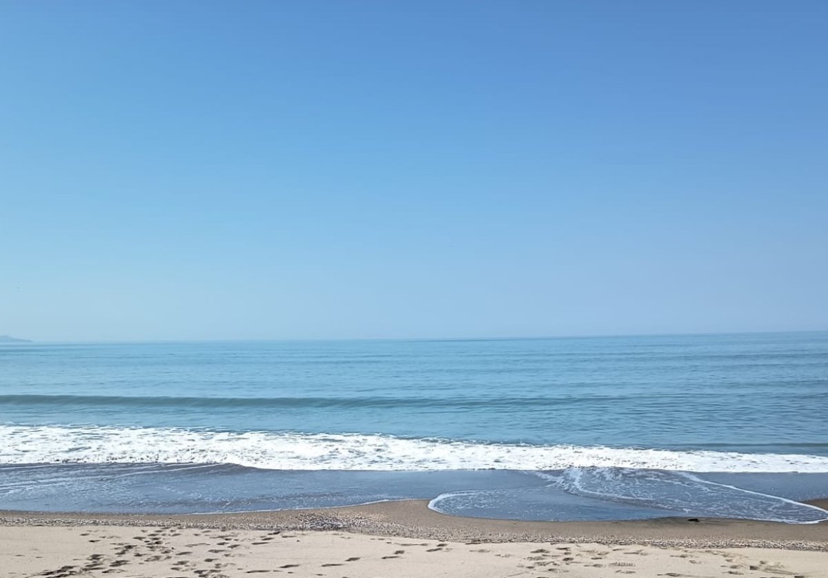 Sarah🦋✨ tweet media