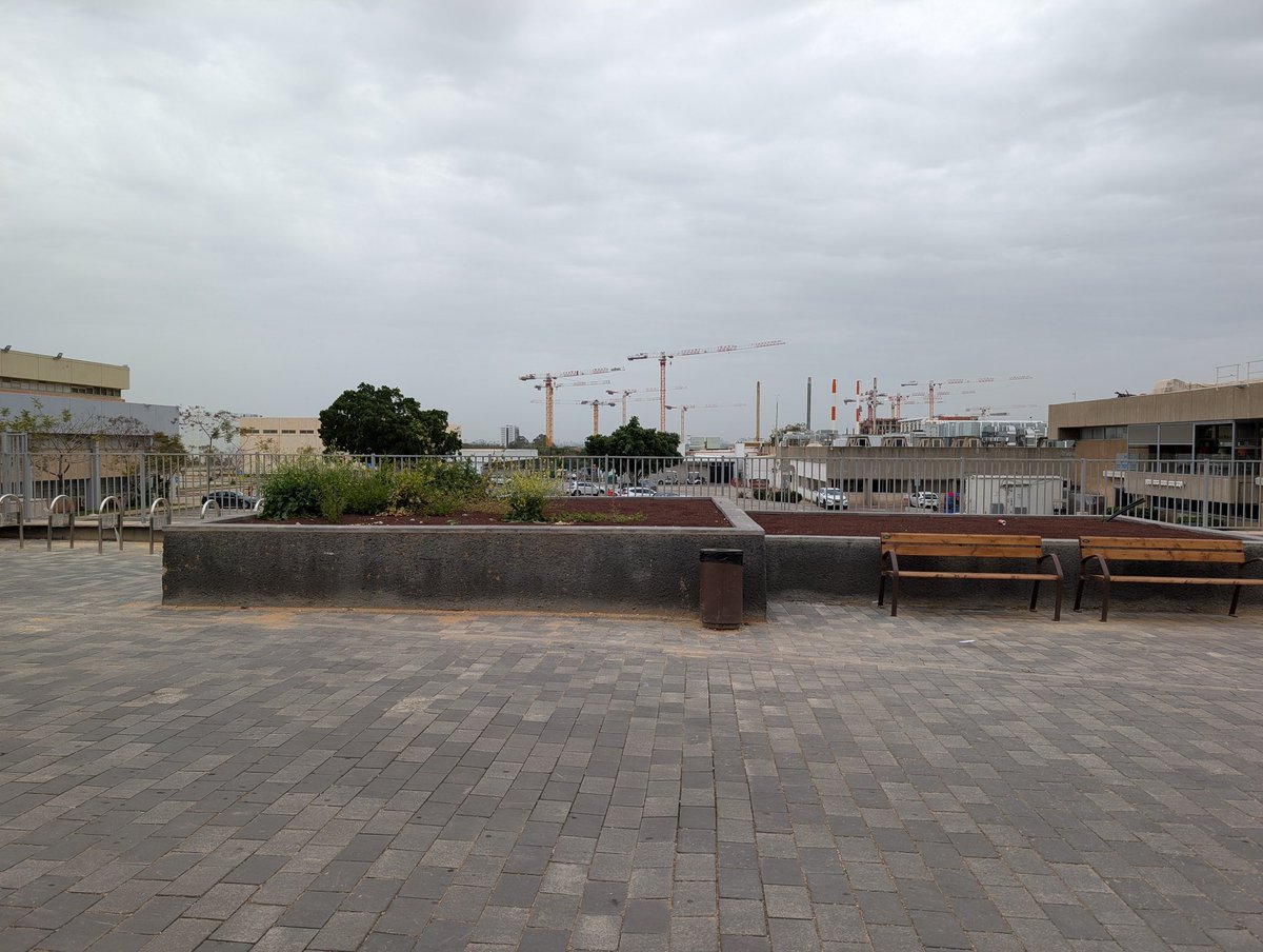 Venus Victrix tweet media