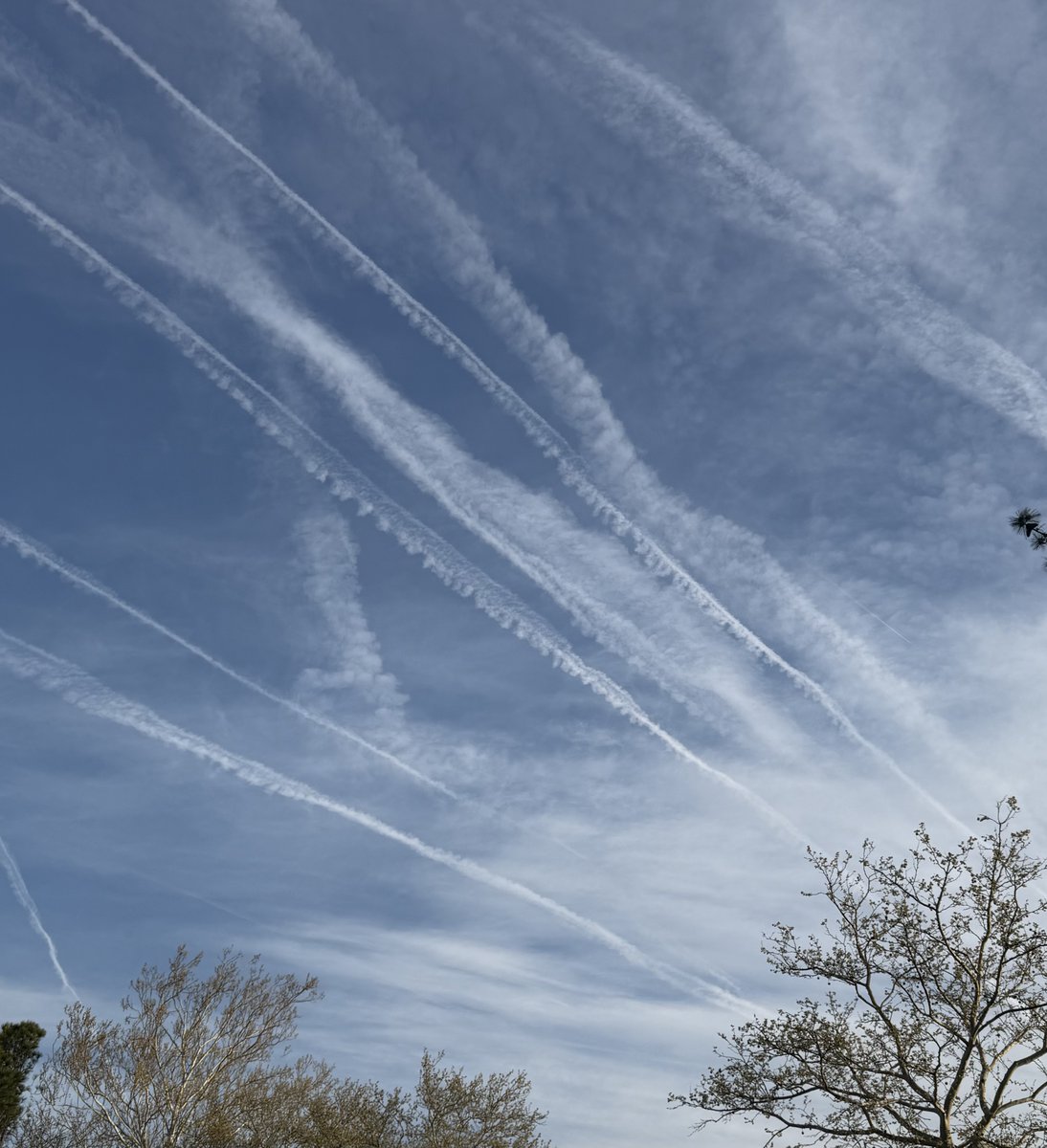 Dr. Dennis Walker tweet media