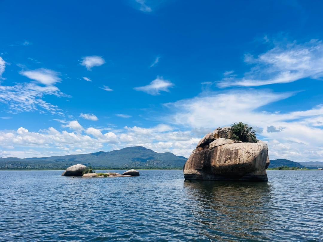 Dr Jimmy Opigo tweet media