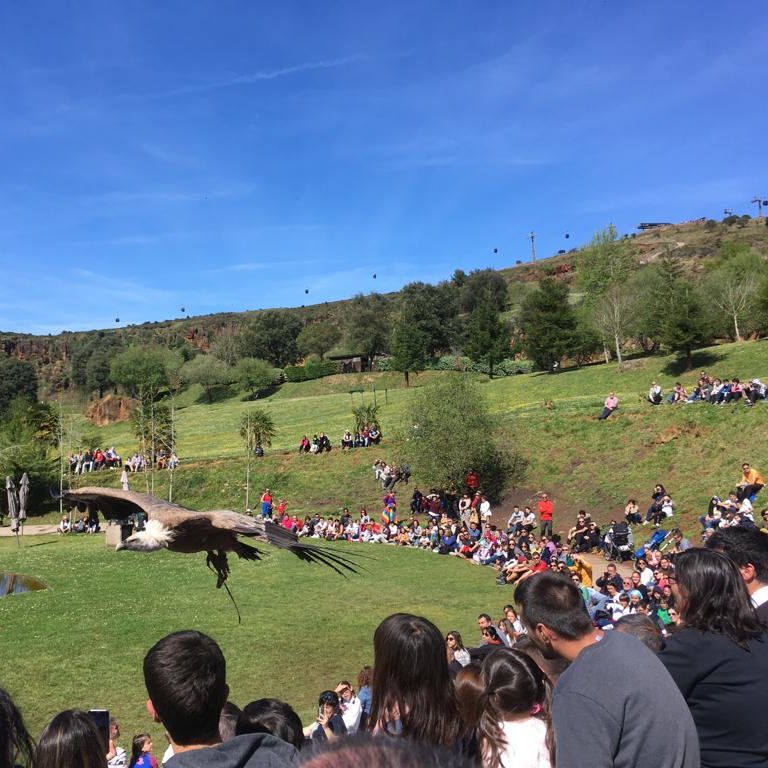 Parque de Cabárceno tweet media