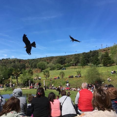 Parque de Cabárceno tweet media