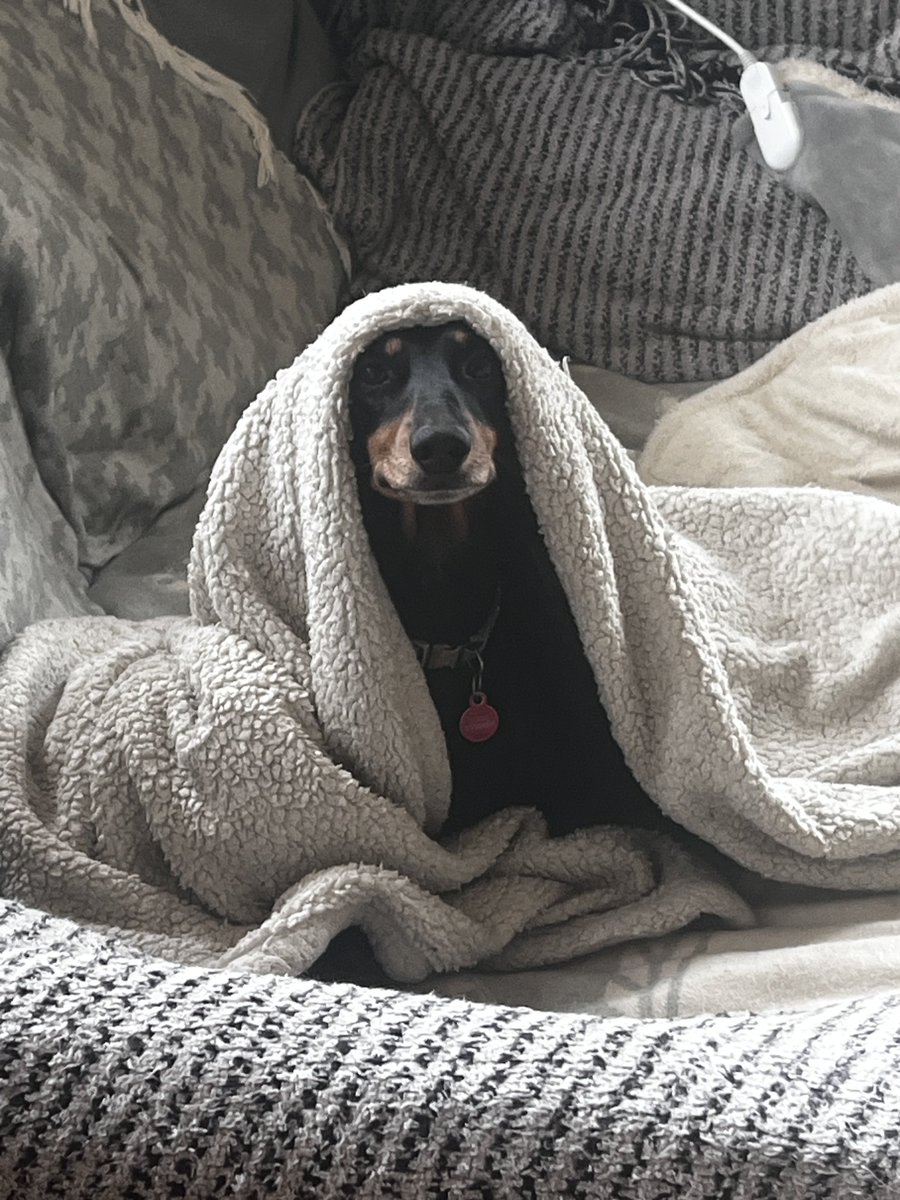 Sharron Davies HoL MBE tweet media