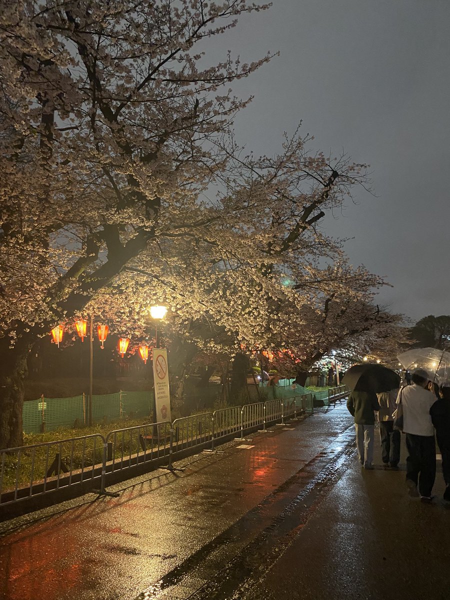 まか日記 tweet media