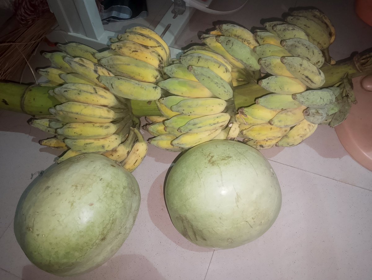 DunnyVentures/Food curator tweet media