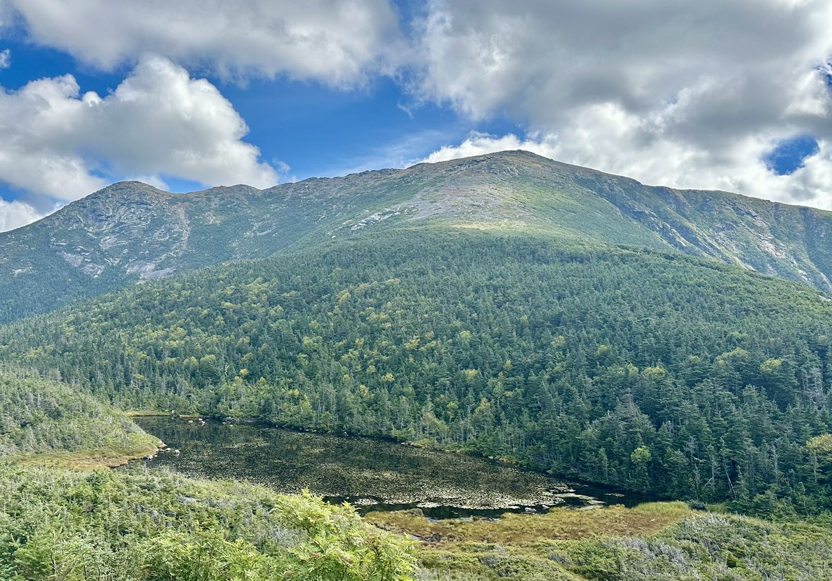 HikingLawyer's tweet image. Last Labor Day, a day after climbing Mount Washington, I tackled Franconia Ridge - up and over Little Haystack, Mount Lincoln and Mount Lafayette.  Pure magic!

#whitemountains #newhampshire #hikingadventures