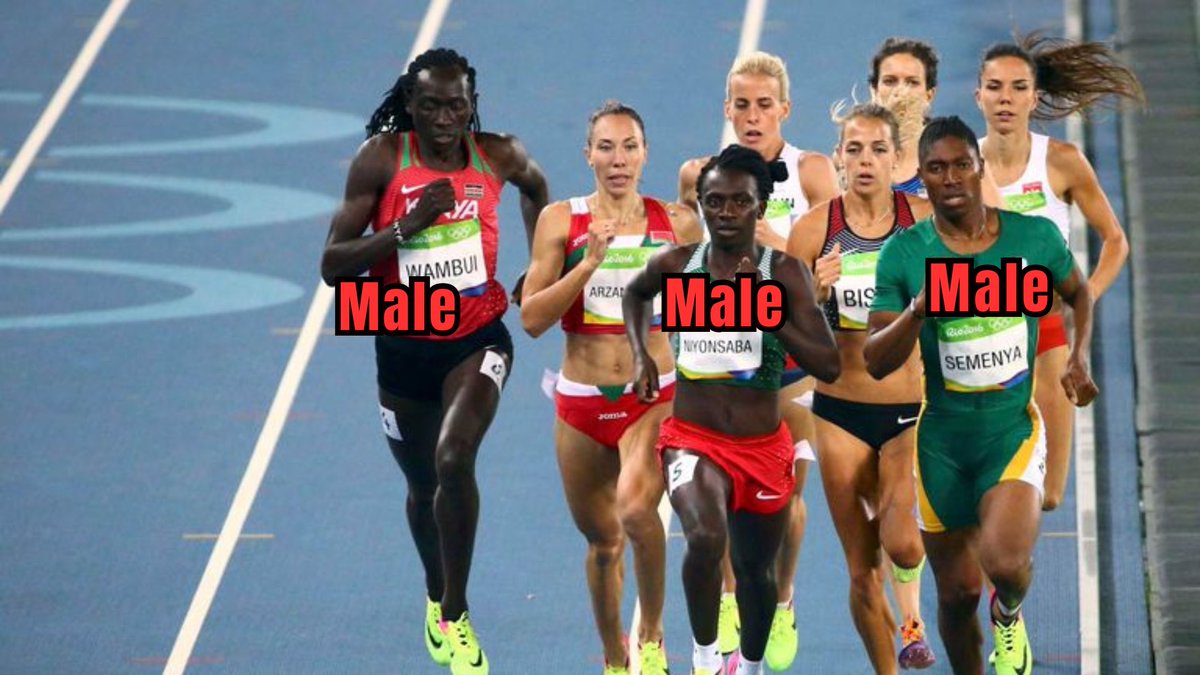 Irene BritUSA tweet media