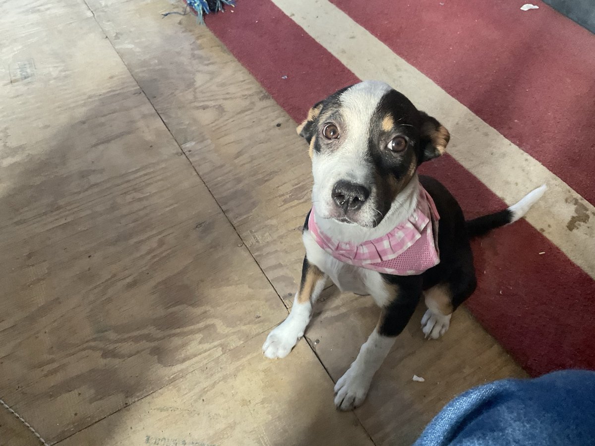 FrostyNNTX tweet media