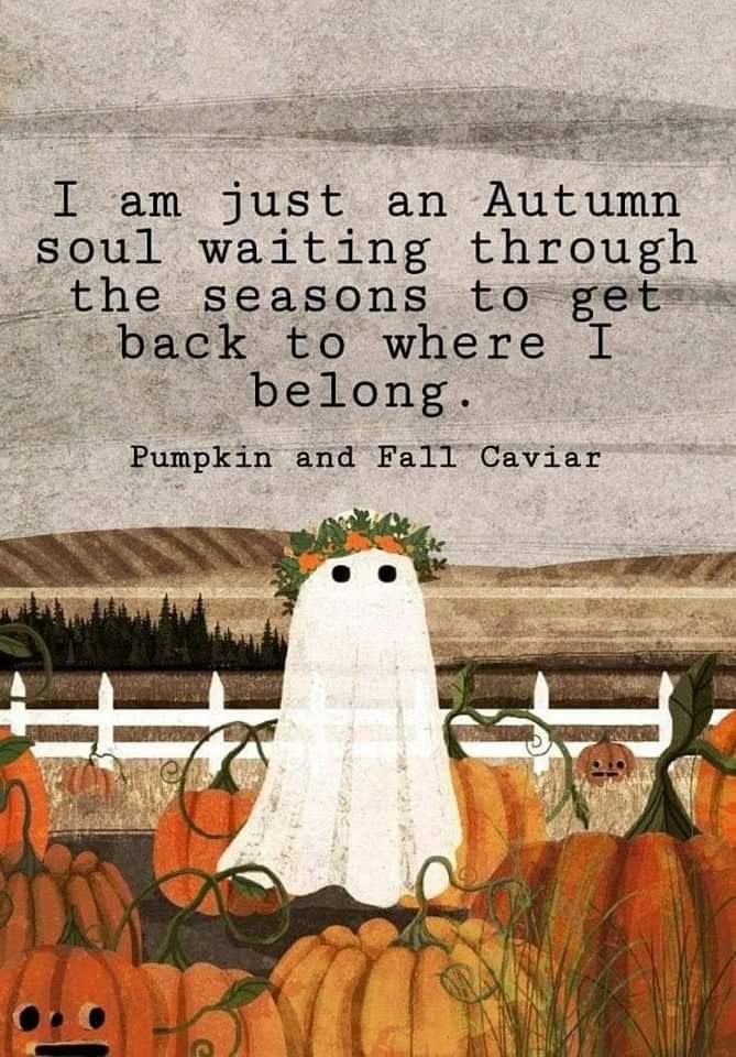 ScaryAllYear's tweet image. An Autumn soul, patiently waiting for fall to return. 🍂 This cute ghost knows where it belongs—surrounded by pumpkins &amp;amp; spooky-sweet vibes!
#AutumnSoul #FallVibes #PumpkinSeason #SpookyCute #HalloweenHeart