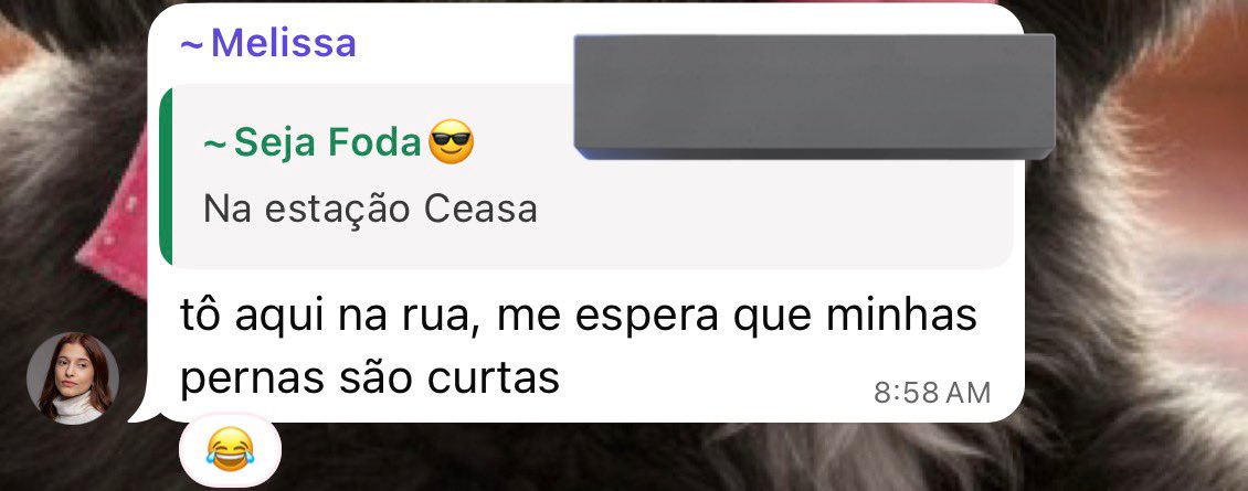 o grupo da van do meu trabalho é muito divertido