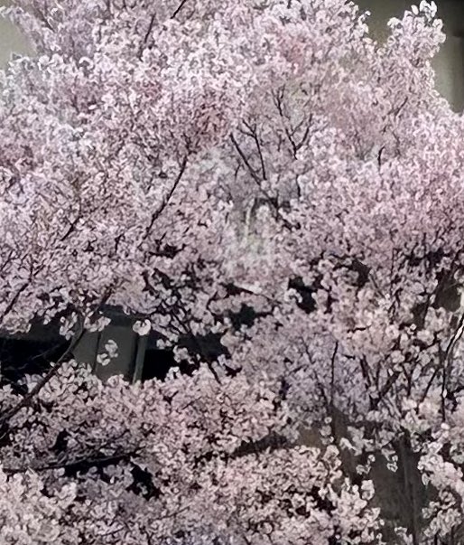 chibi⭐️UK⭐️ IKNOW tweet media