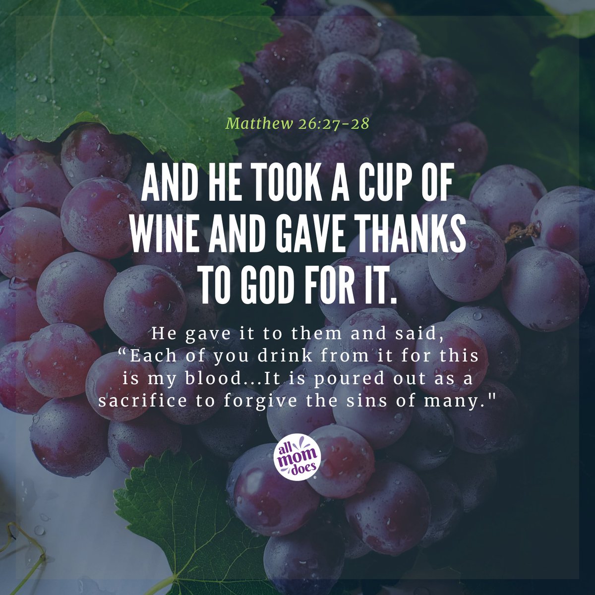 AllMomDoes tweet media