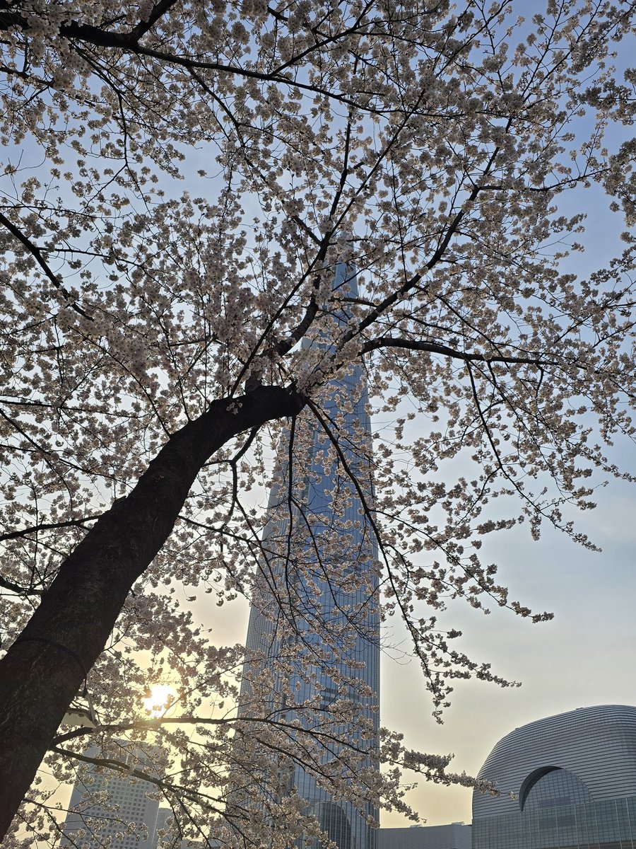 nicole (니콜) 🌸 tweet media