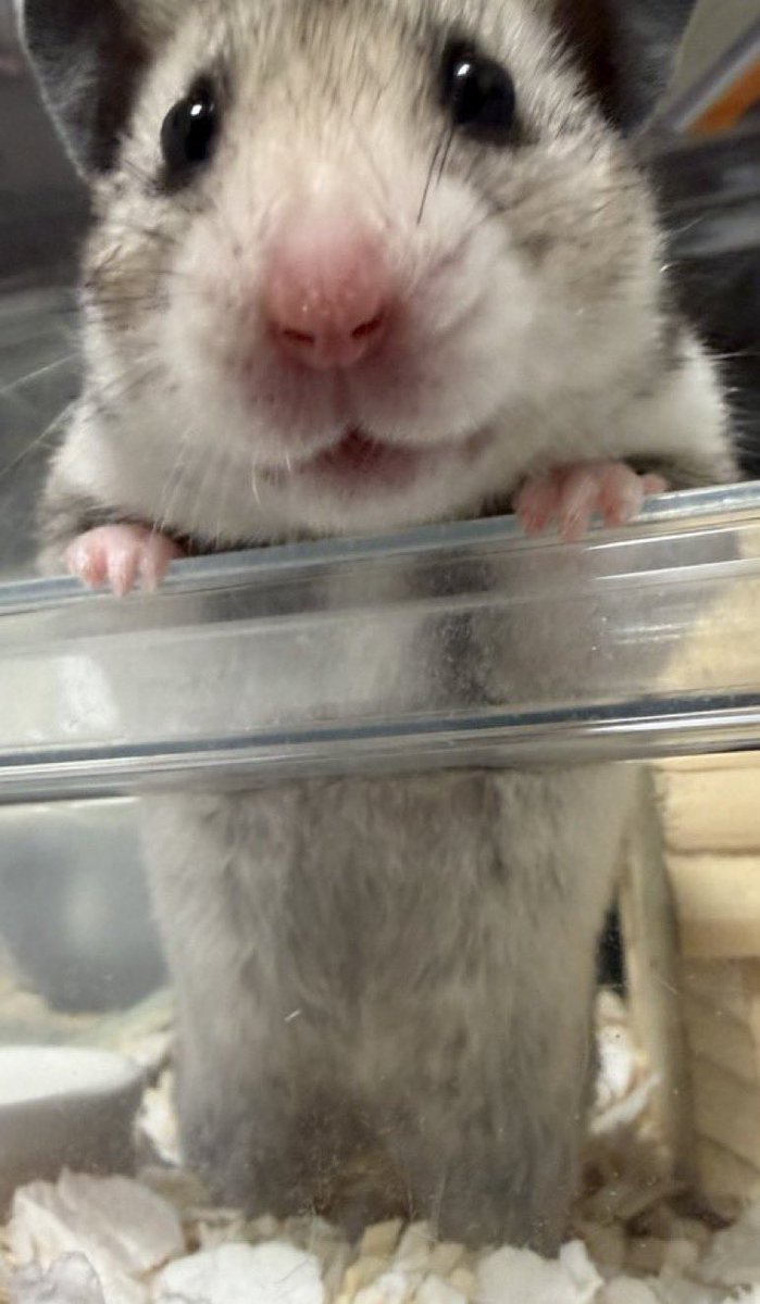 あーるちゃ.𖠌 tweet media